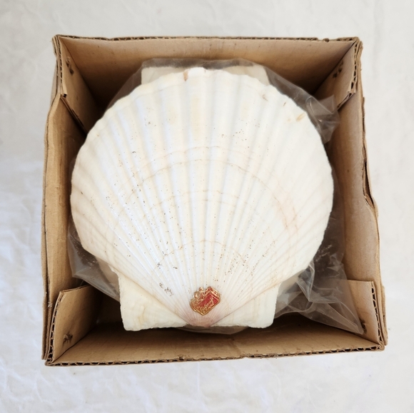 LOT Japanese Scallop Shells for Cooking - Picture 3 of 8